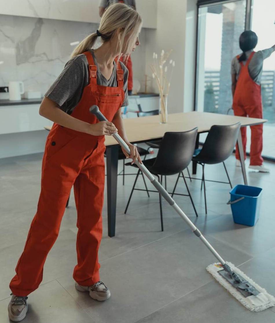 people cleaning and dusting