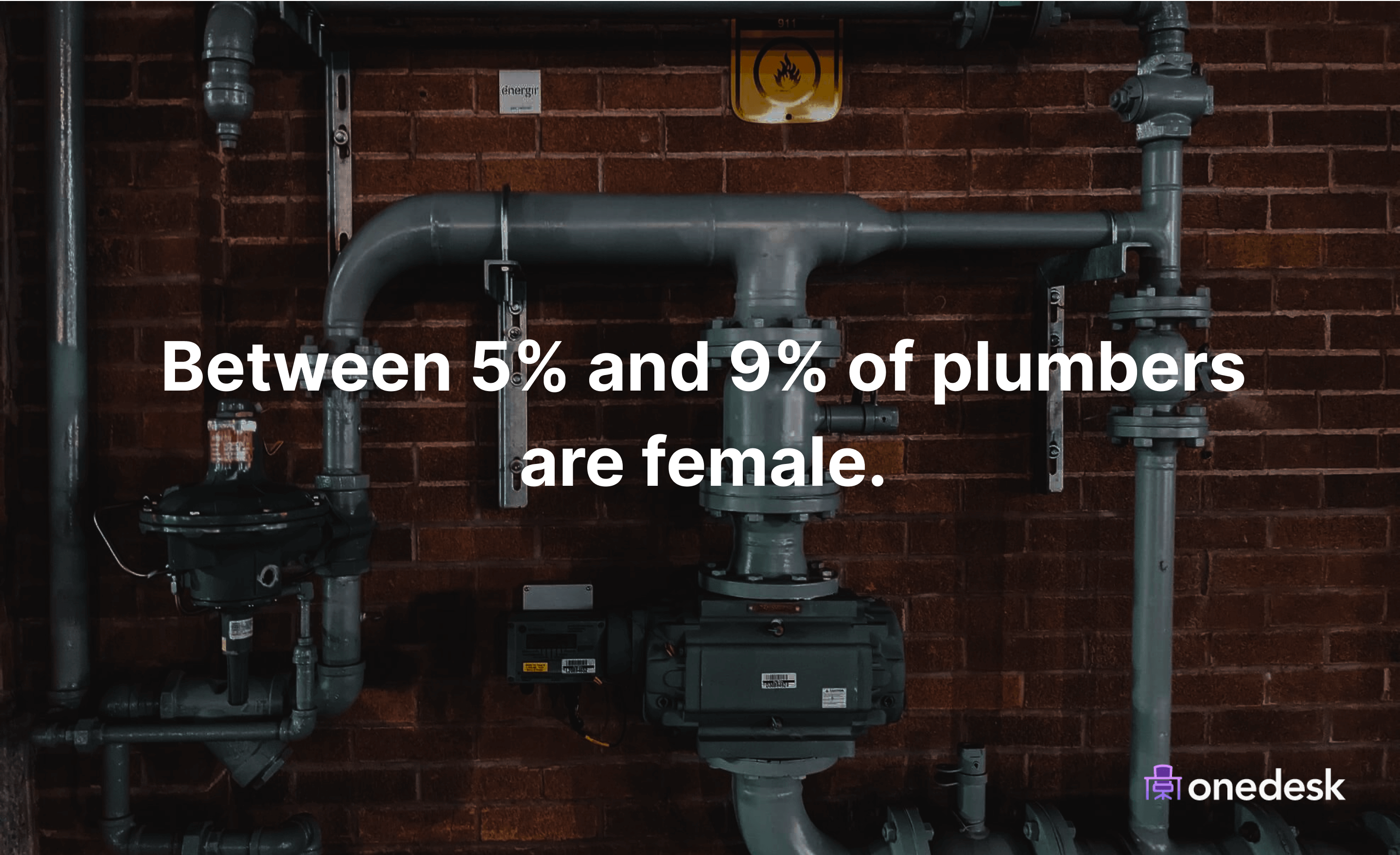 percent of plumbers who are female