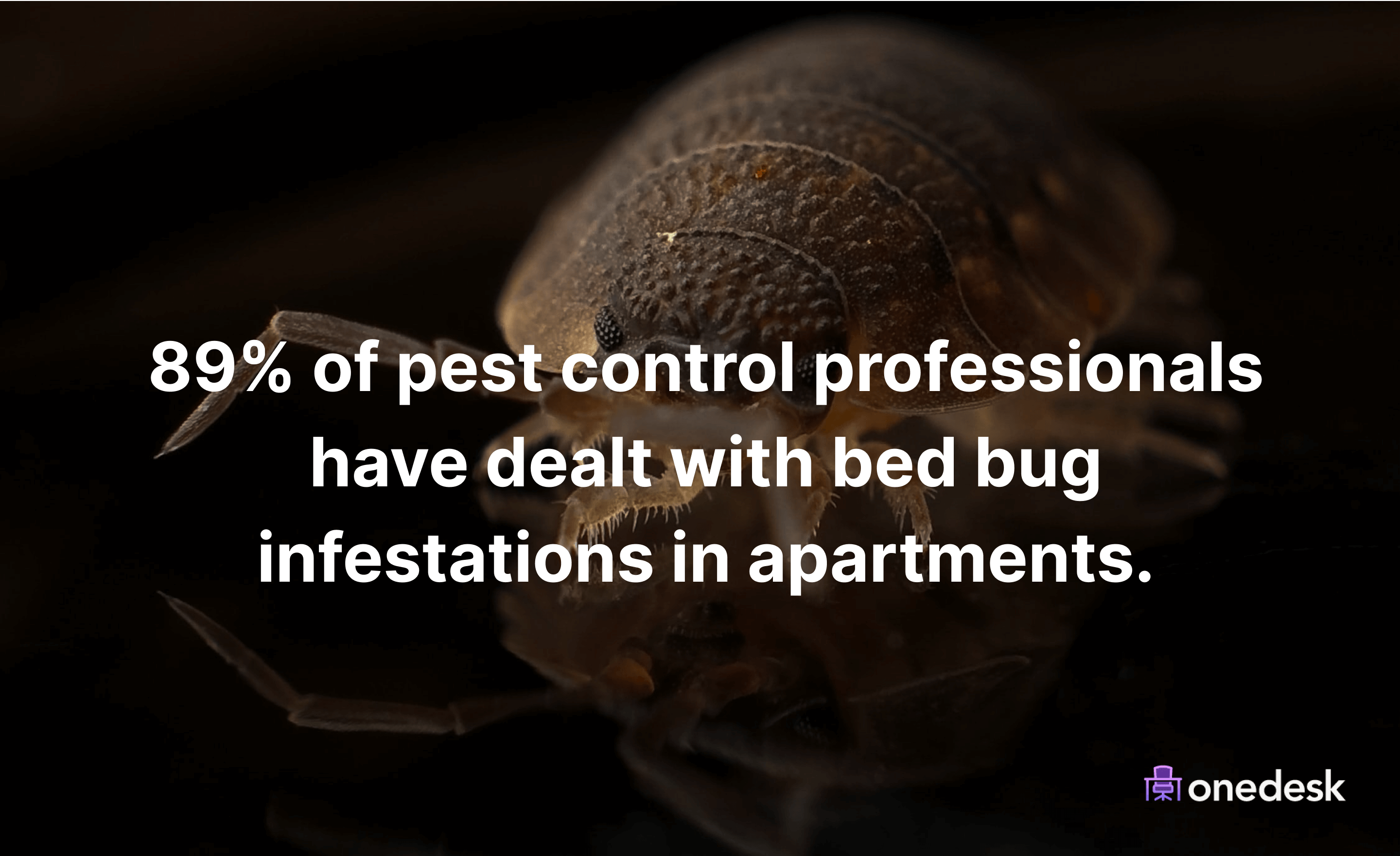 How common are bed bugs in apartments?