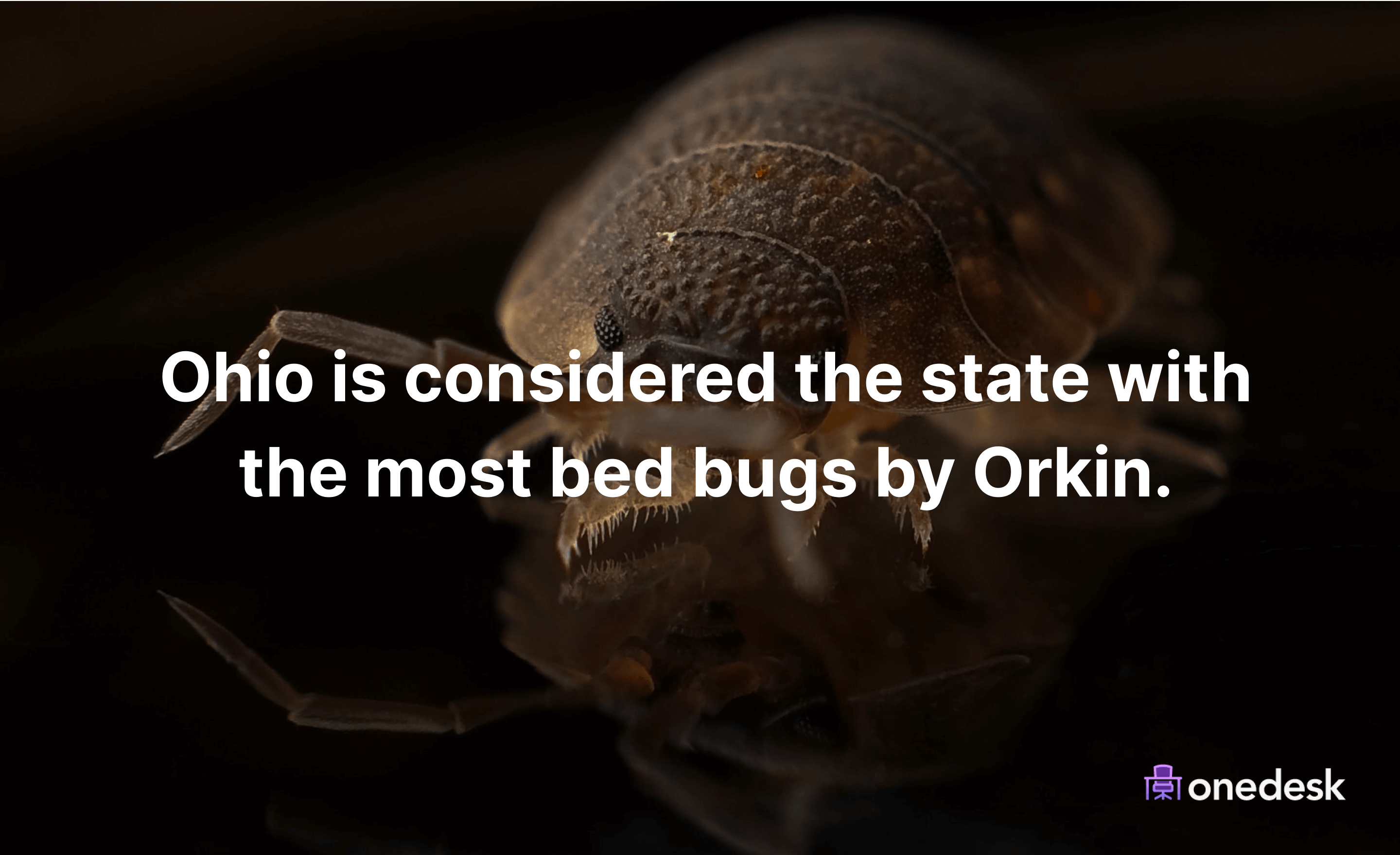 us state with the most bed bugs is ohio