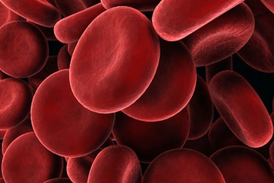 Biological Sample What is that?