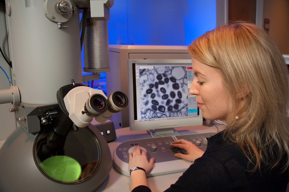 Science Care A ForProfit Body Donation Program Advancing Medical Science