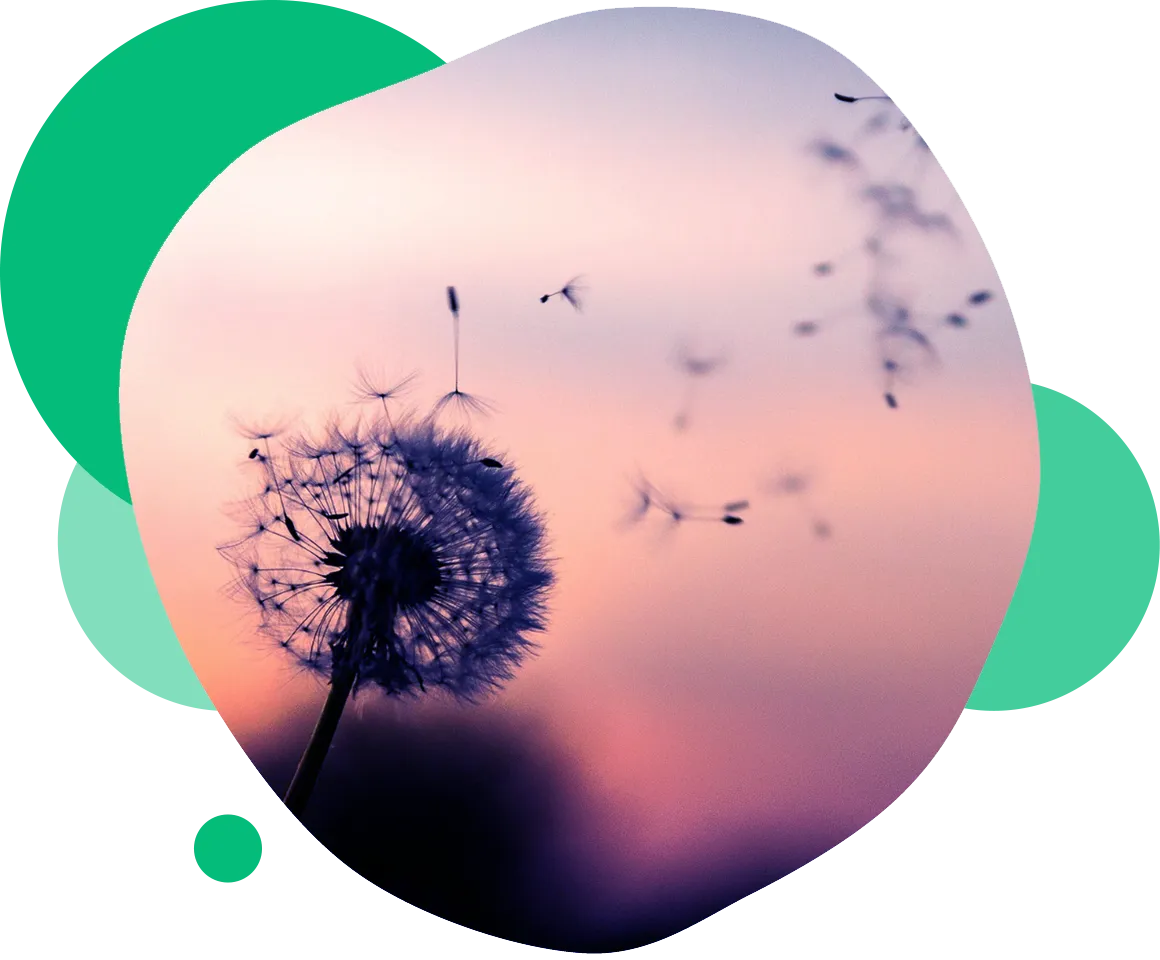 NoCost Cremation Services with Science Care