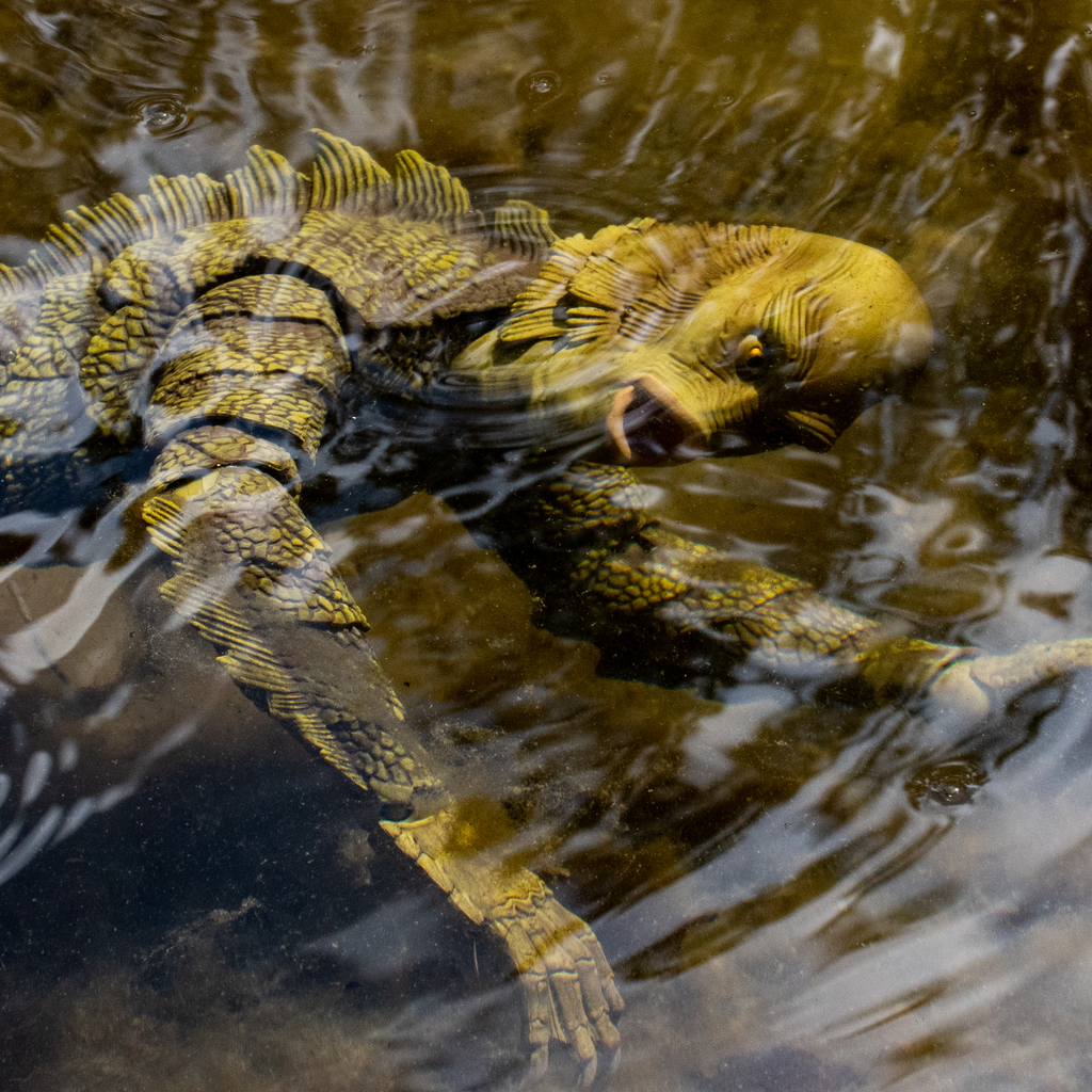Creature from the Black Lagoon 1/6 Scale Figure