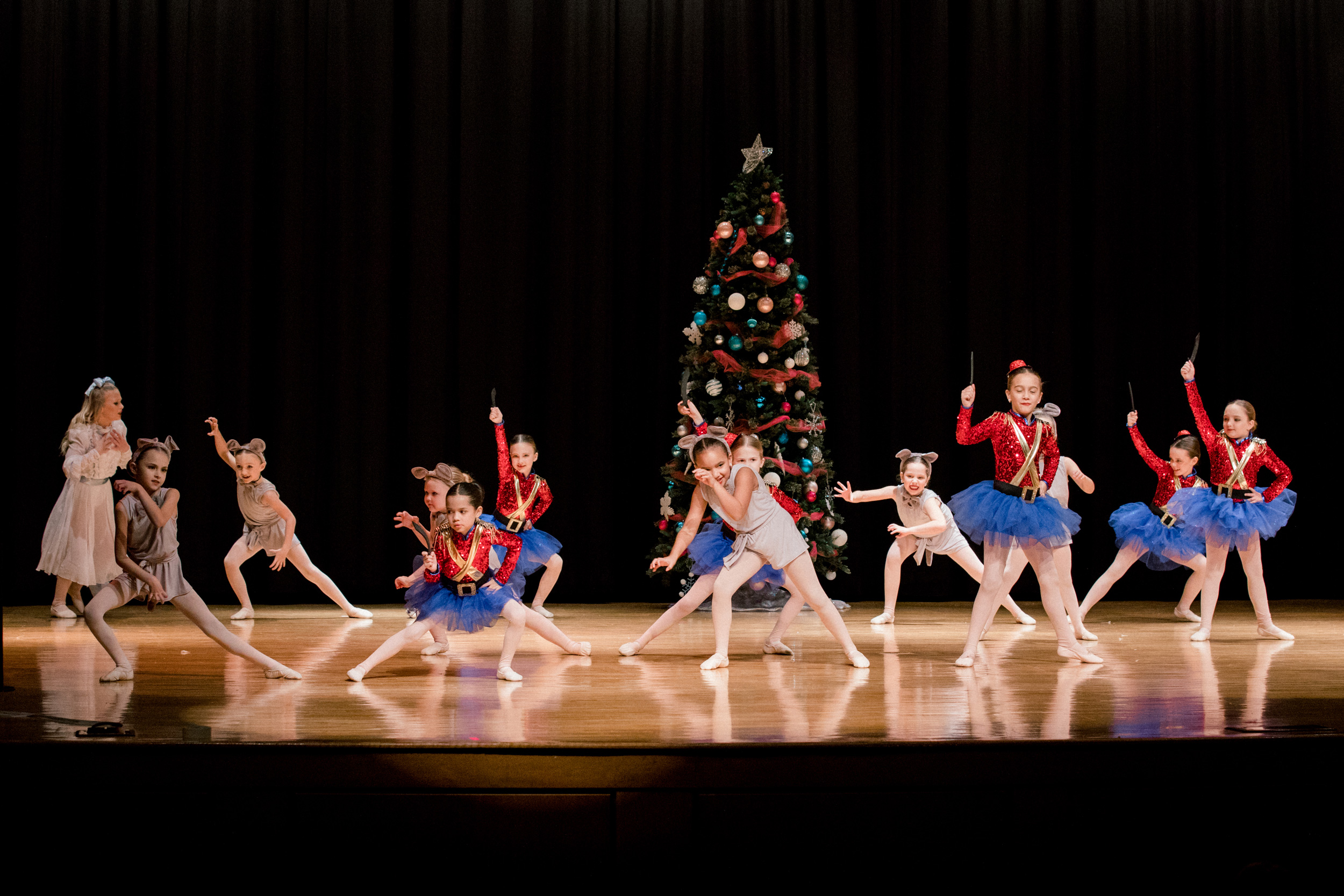 The Nutcracker Arts Center of Coastal Carolina