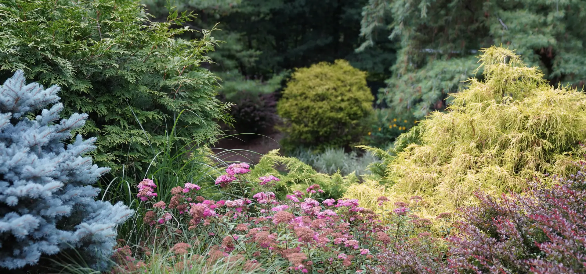 Soft Scaping Softscaping | Dell Outdoor