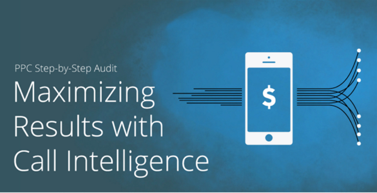 ppc step by step audit