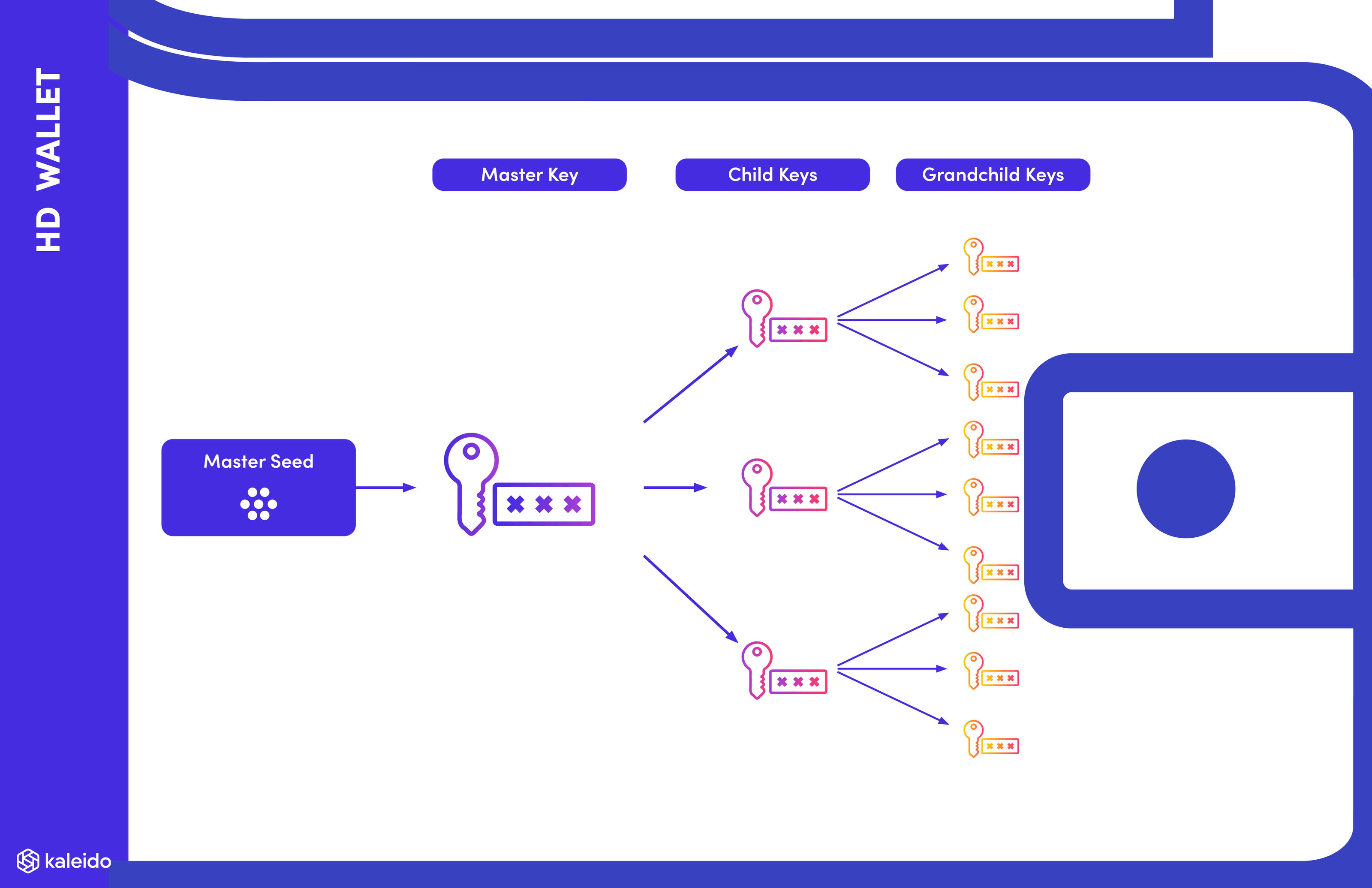 HD wallet key tree illustration
