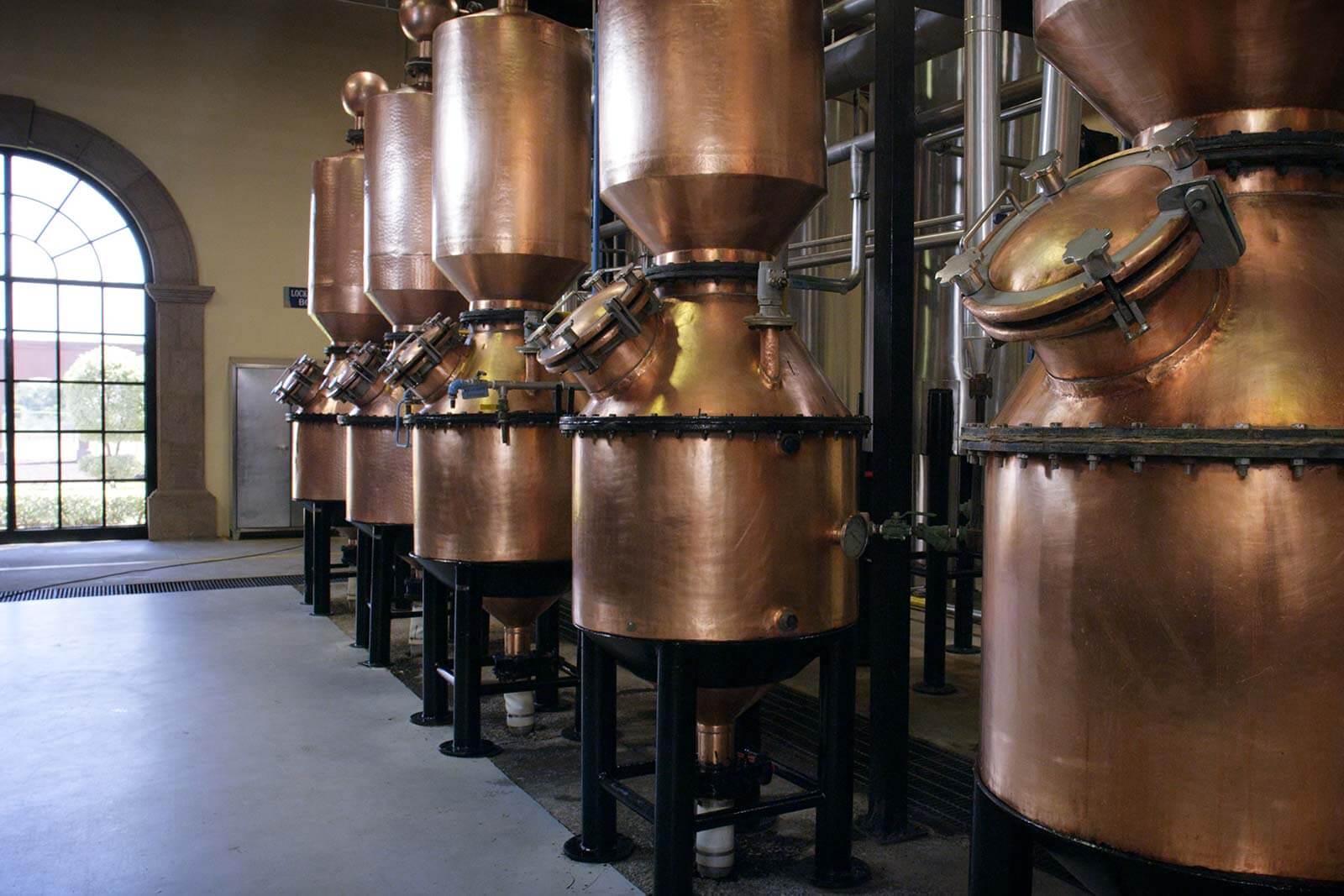 national-tequila-day-sustainable-patron-agave-distiling