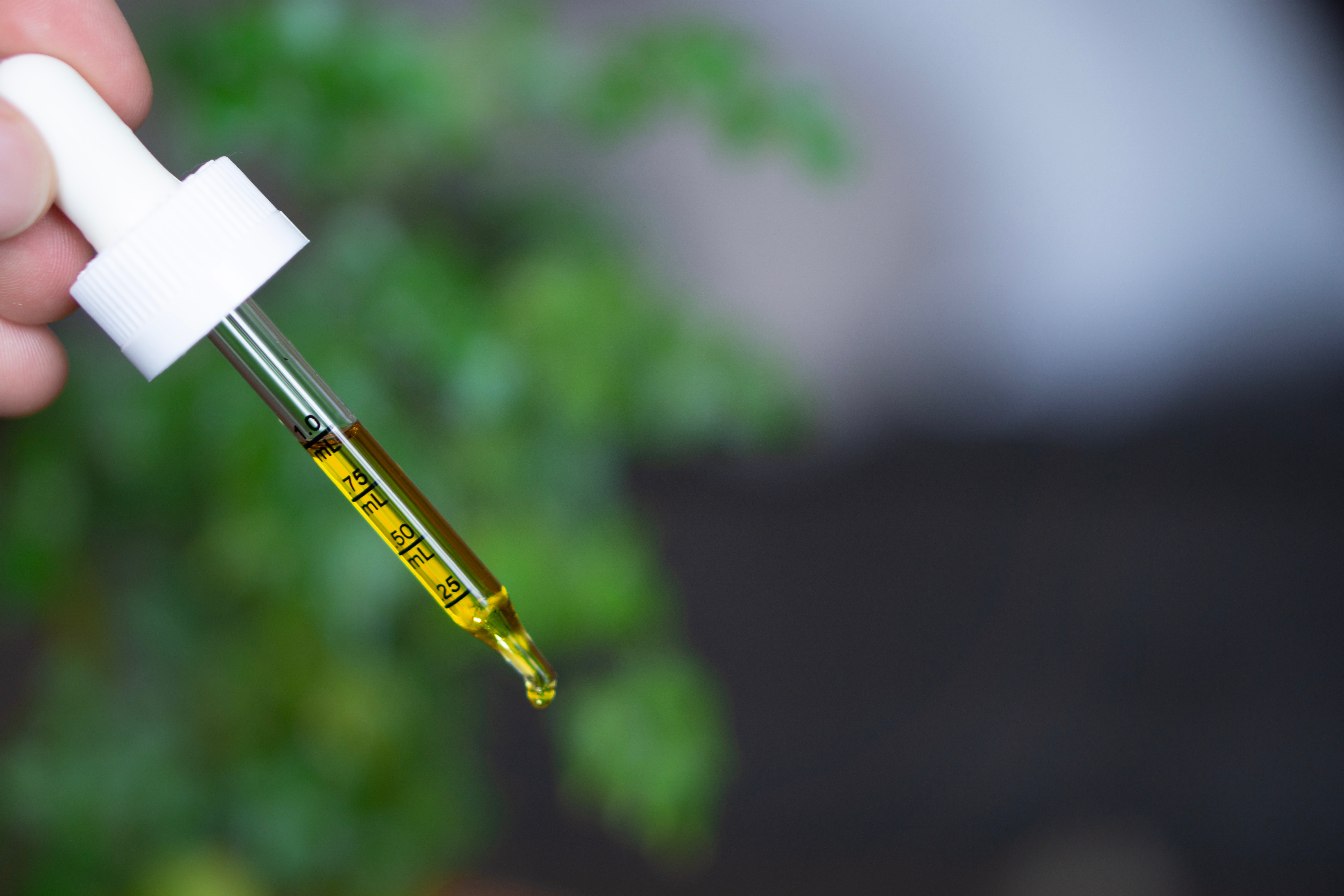 The Top CBD Health & Beauty Products of the Month