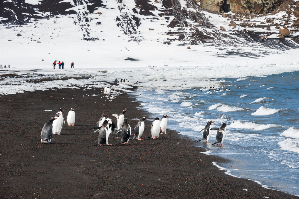 Discover The Best Way To Visit Antarctica This Winter