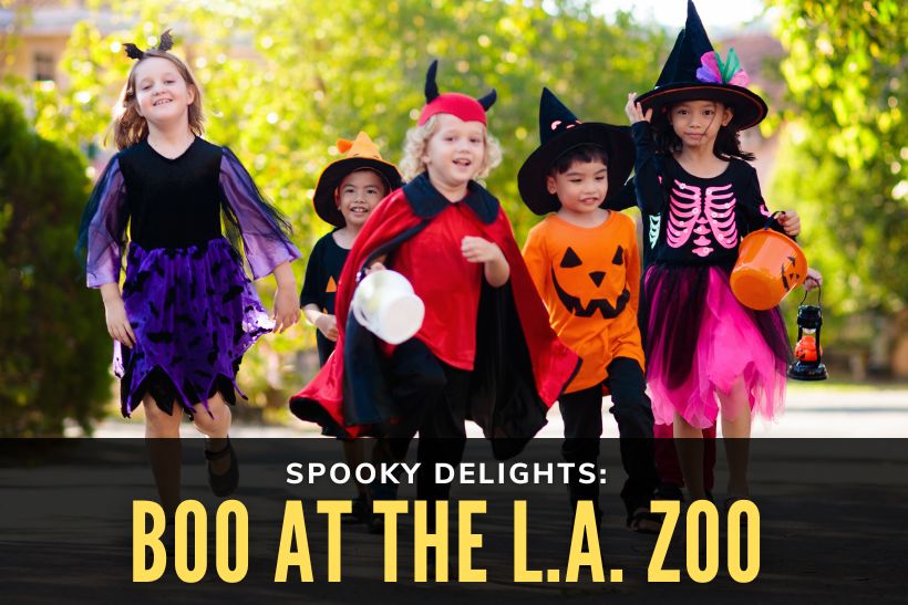 Spooky Delights: Boo at the L.A. Zoo
