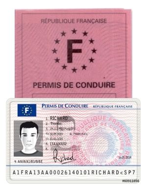 Declaration Perte Permis Conduire Comment Obtenir Un Duplicata Declaration Perte Permis Conduire Comment Obtenir Un Duplicata