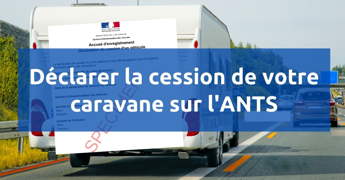 Ants cession caravane