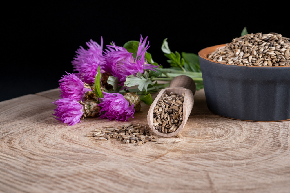 A Deep Dive into Milk Thistle's Potential Impact on Type 2 Diabetes