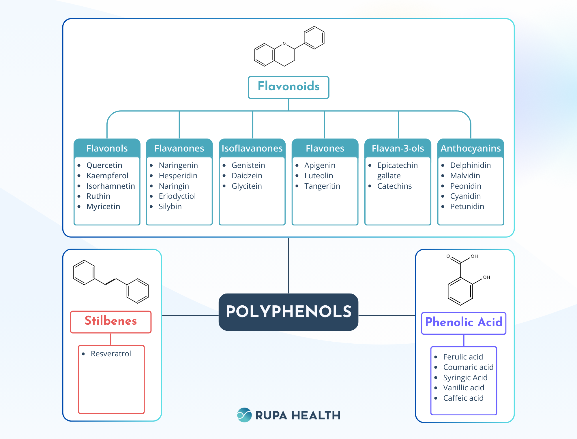 The Power of Polyphenols Functional Medicine's Antioxidant Superstars