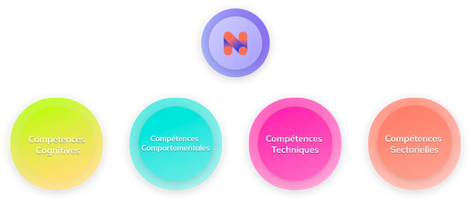 Les 4 catégories de compétences selon Neobrain