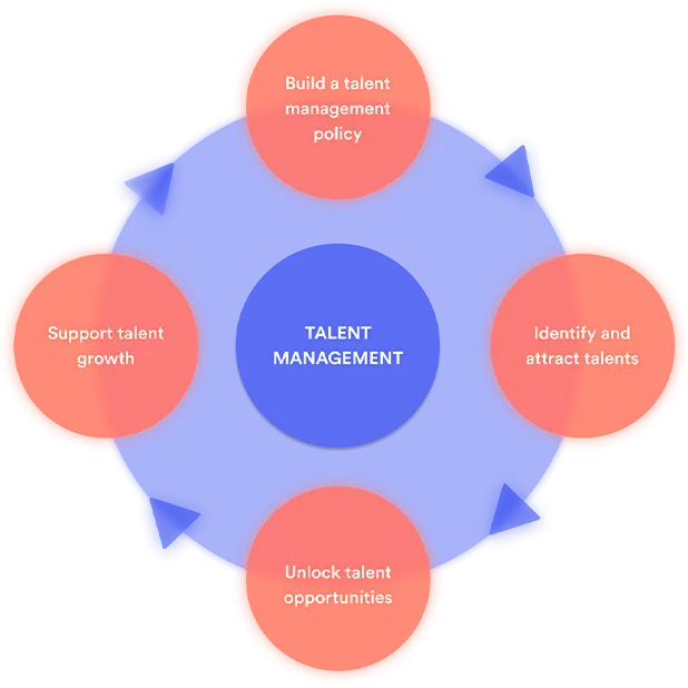 les étapes de la gestion des talents