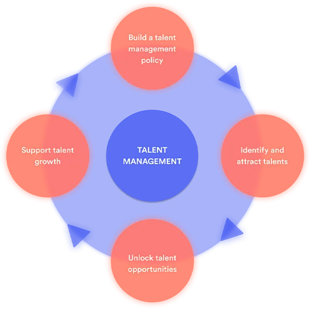 Der Talentmanagement-Zyklus