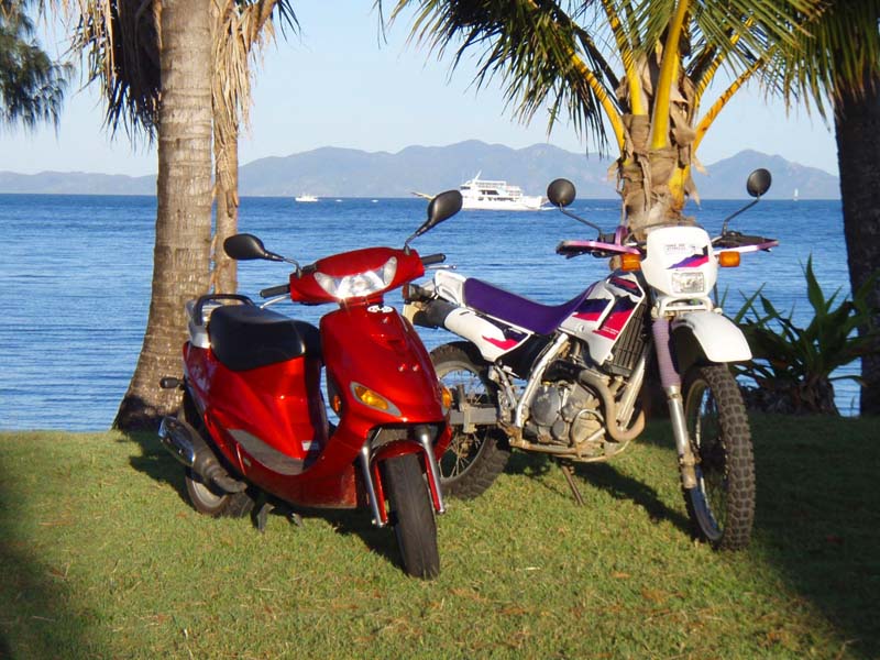 Getting Around Island