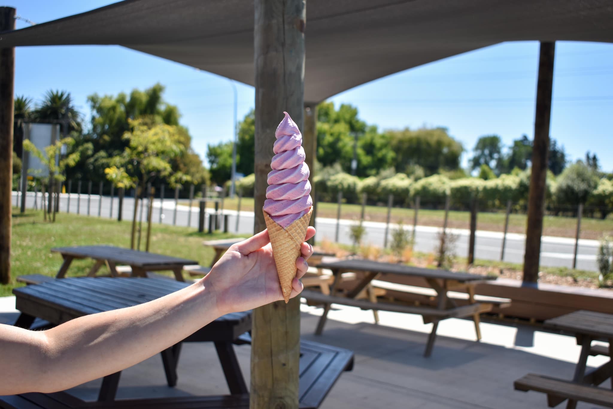 Real Fruit Ice Cream Hamilton, Waikato
