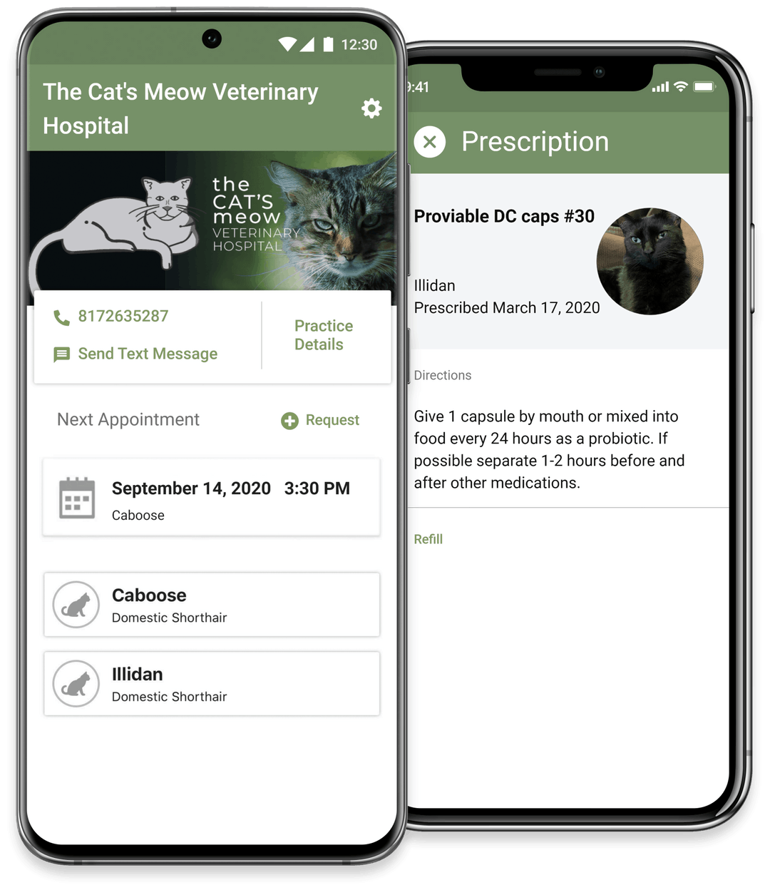 The Cat's Meow Veterinary Hospital Cat Animal Clinic Fort Worth, TX