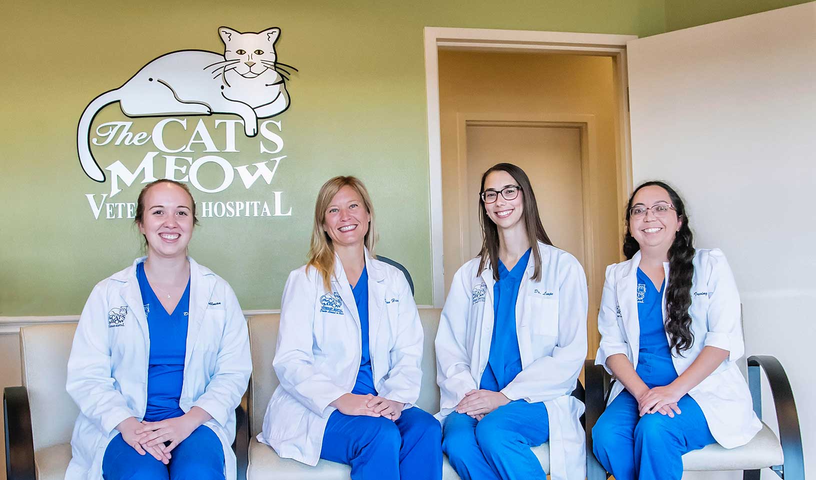 The Cat's Meow Veterinary Hospital Cat Animal Clinic Fort Worth, TX