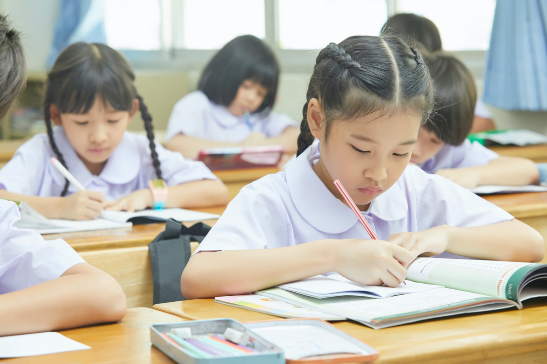 Secondary School Ranking 2024