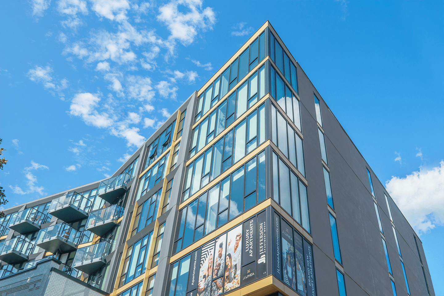 J Linea Merit Windows