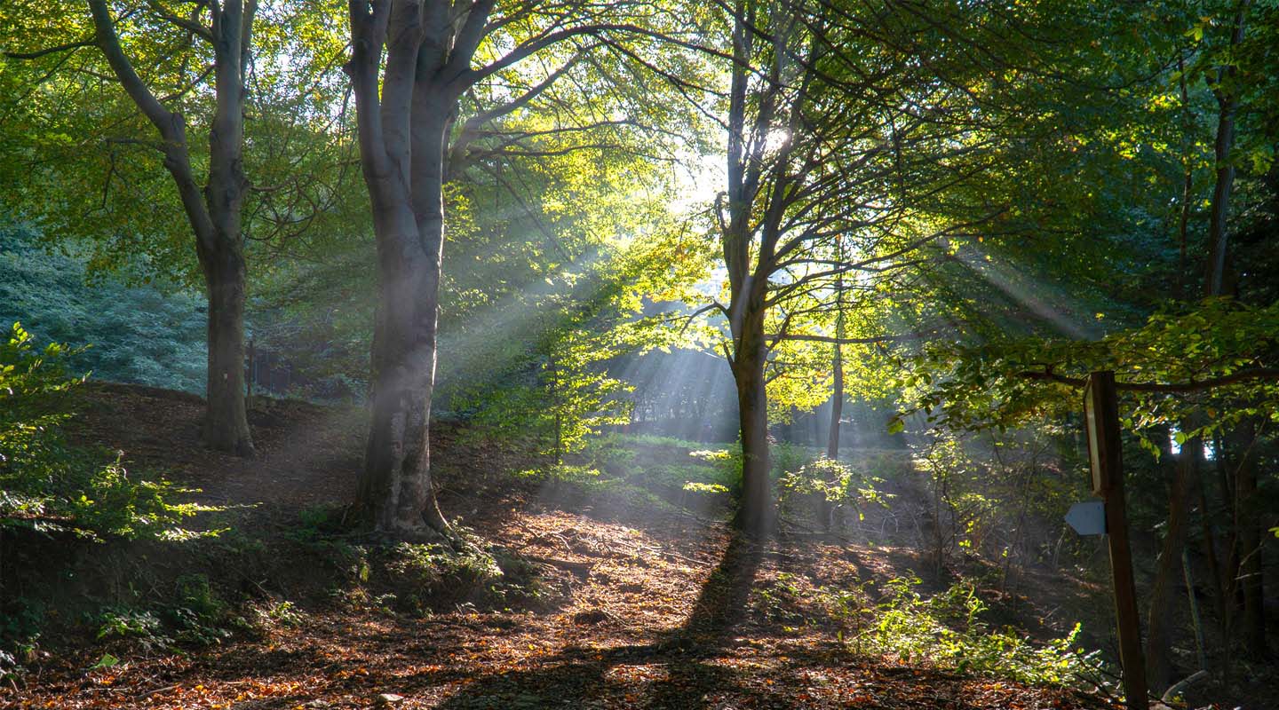 Colle del Melogno > Colle di Cadibona