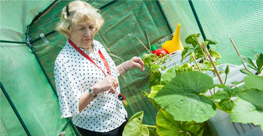 Grace Healthcare Our Homes Tara Winthrop Nursing Home