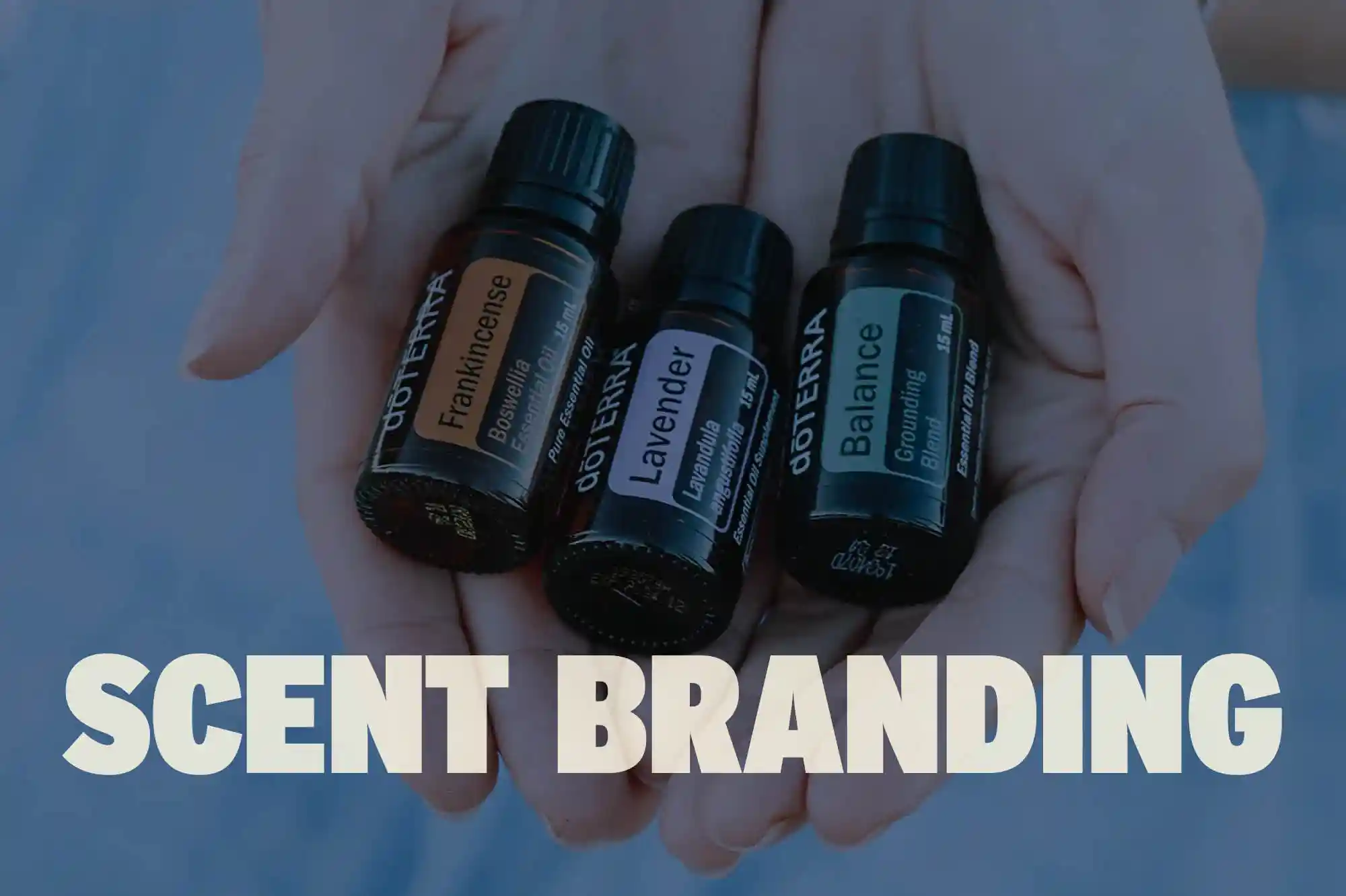 3 bottles of essential oil are held in a hand