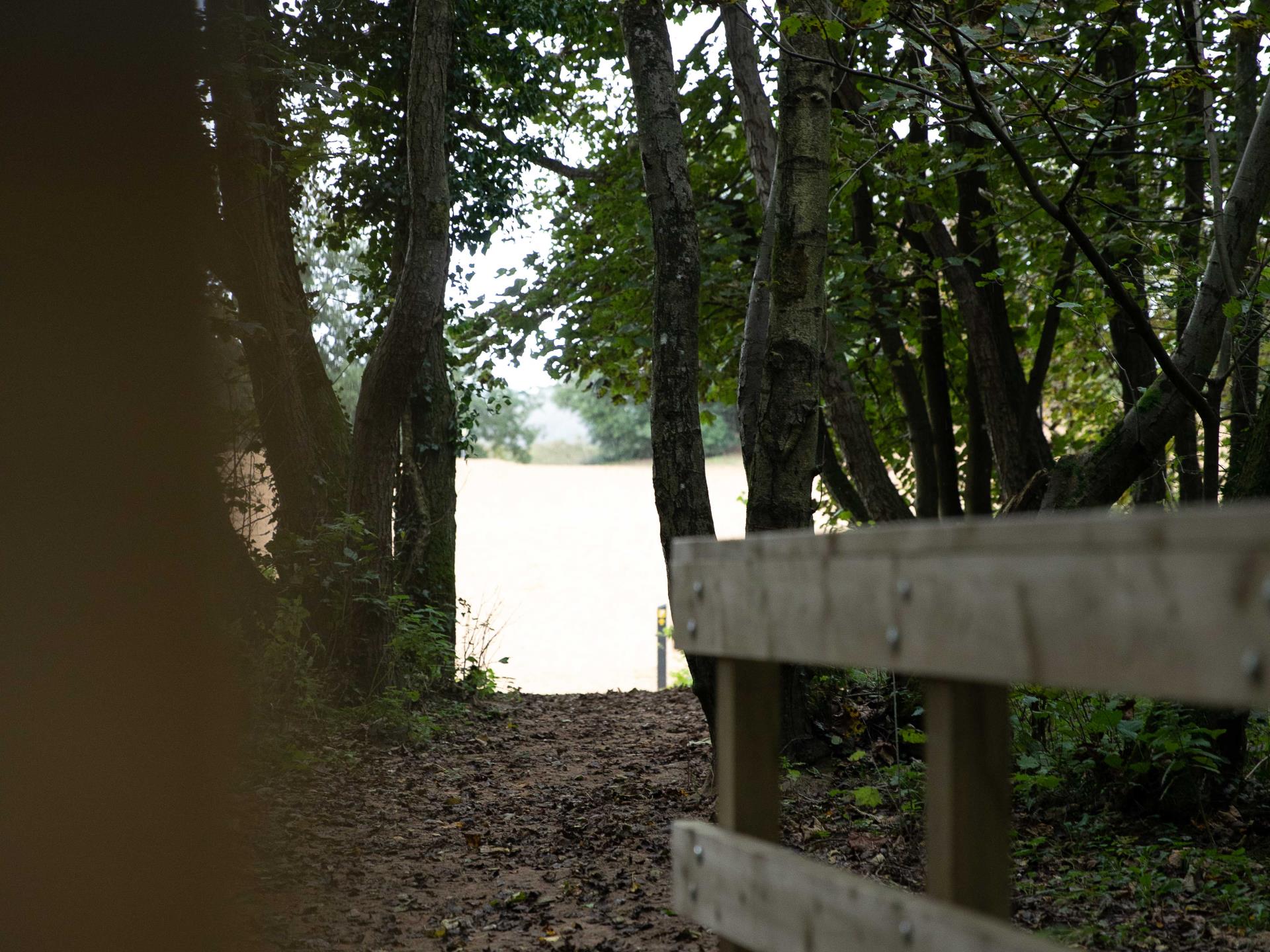 Visit Bridgend Merthyr Mawr Warren National Nature Reserve