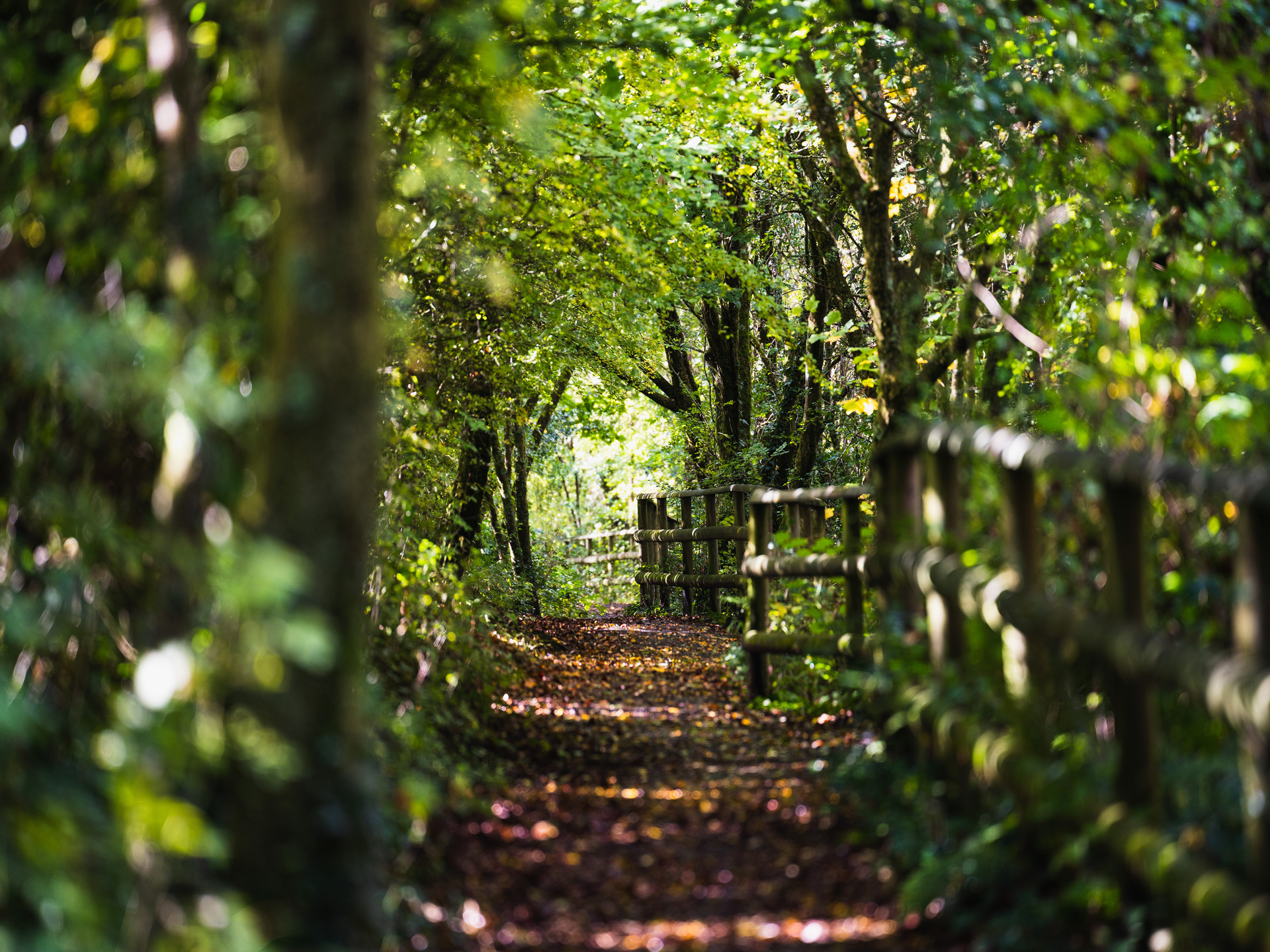 Visit Bridgend | Discover Bridgend's Natural Treasures