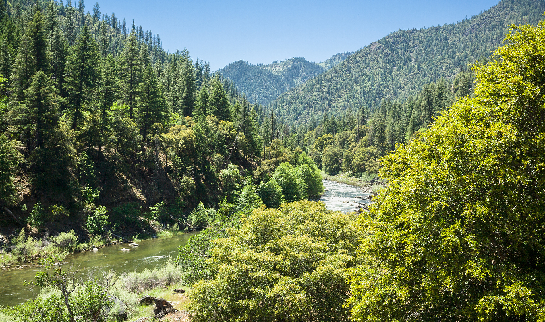 Scotts Valley Launches Community Connect
