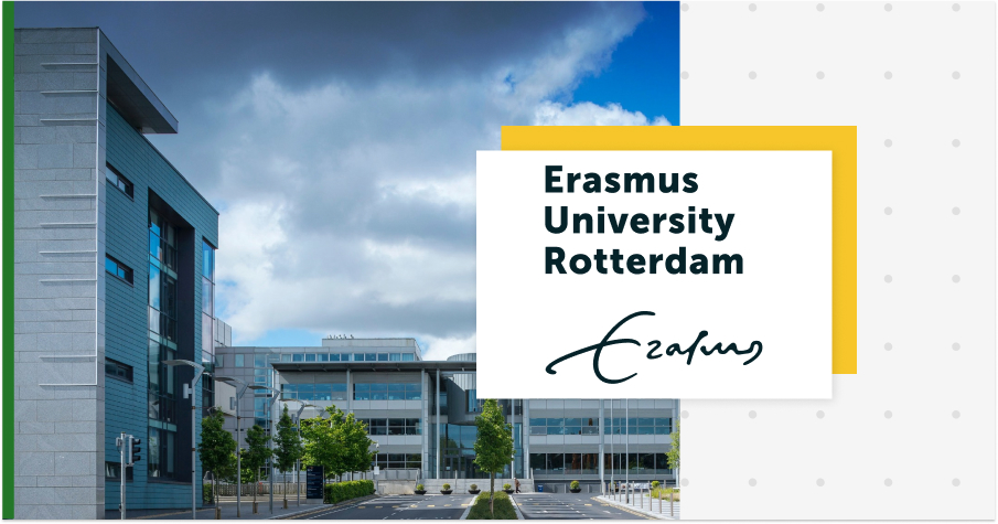 Erasmus University Rotterdam improved online group feedback