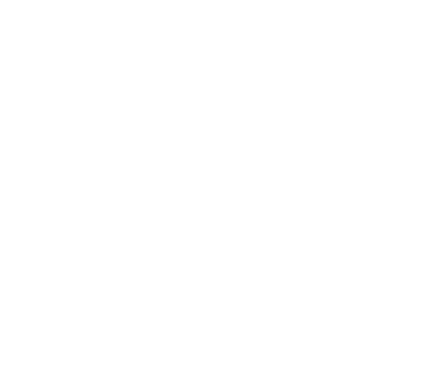 Shark Wheel