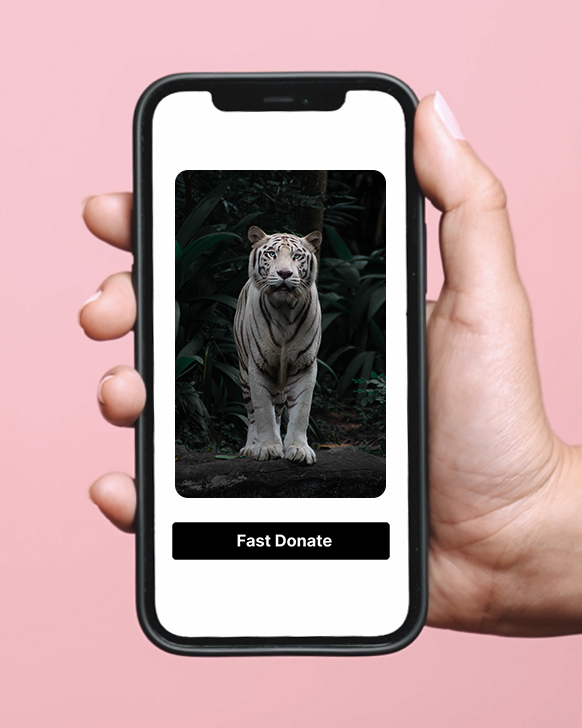 Fast Donate