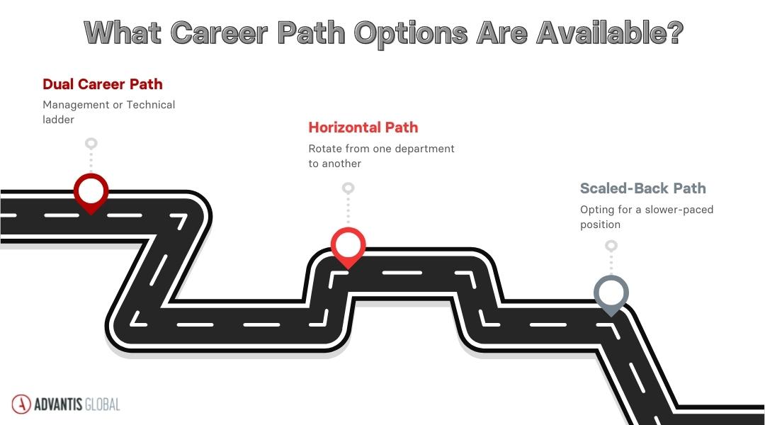 Different career path options on a road.