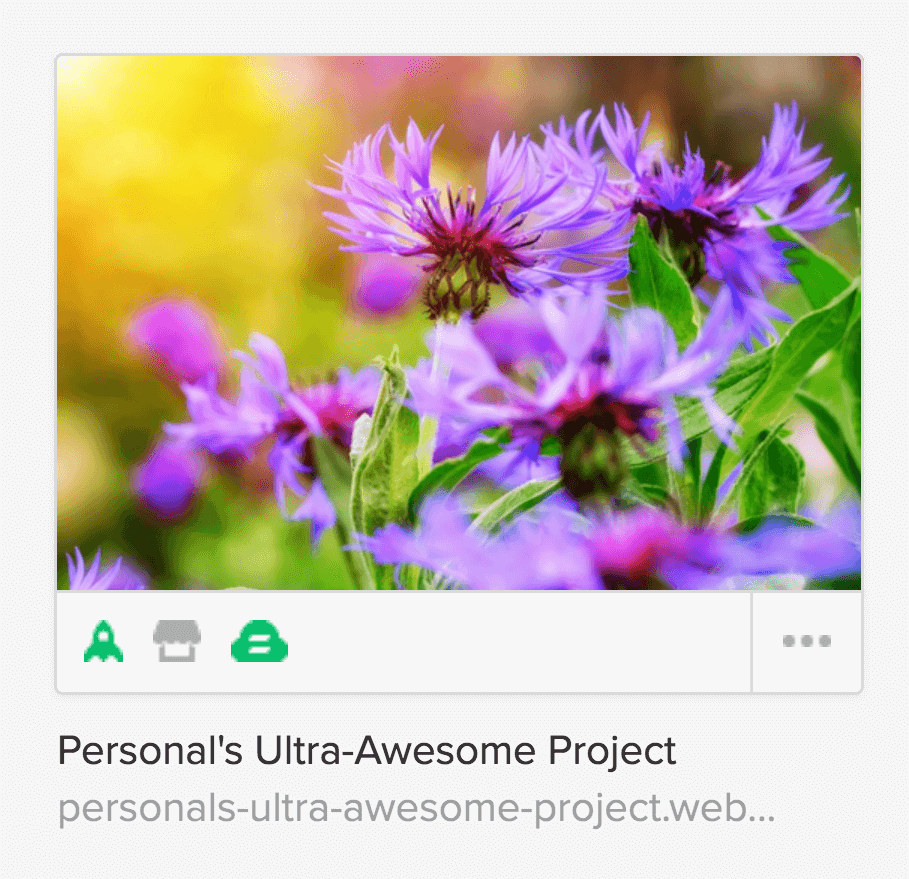 In the dashboard, each of your projects is represented with a thumbnail and some useful details about your project.