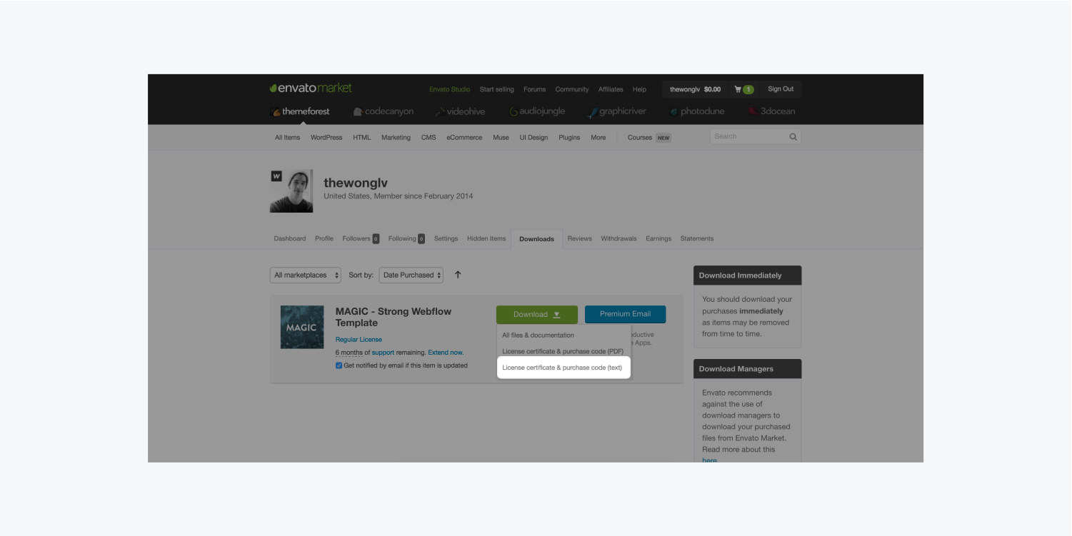 ThemeForest template | Webflow University