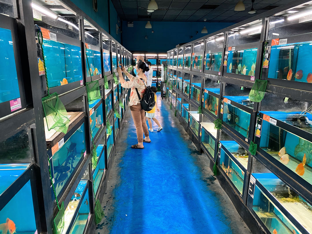 Things to do with kids at Qian Hu Fish Farm