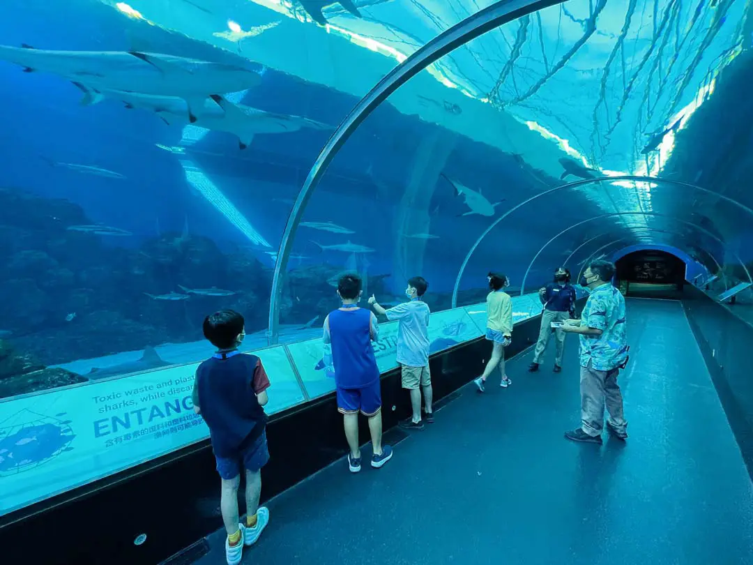 24 of the best family membership and annual pass promotions in Singapore