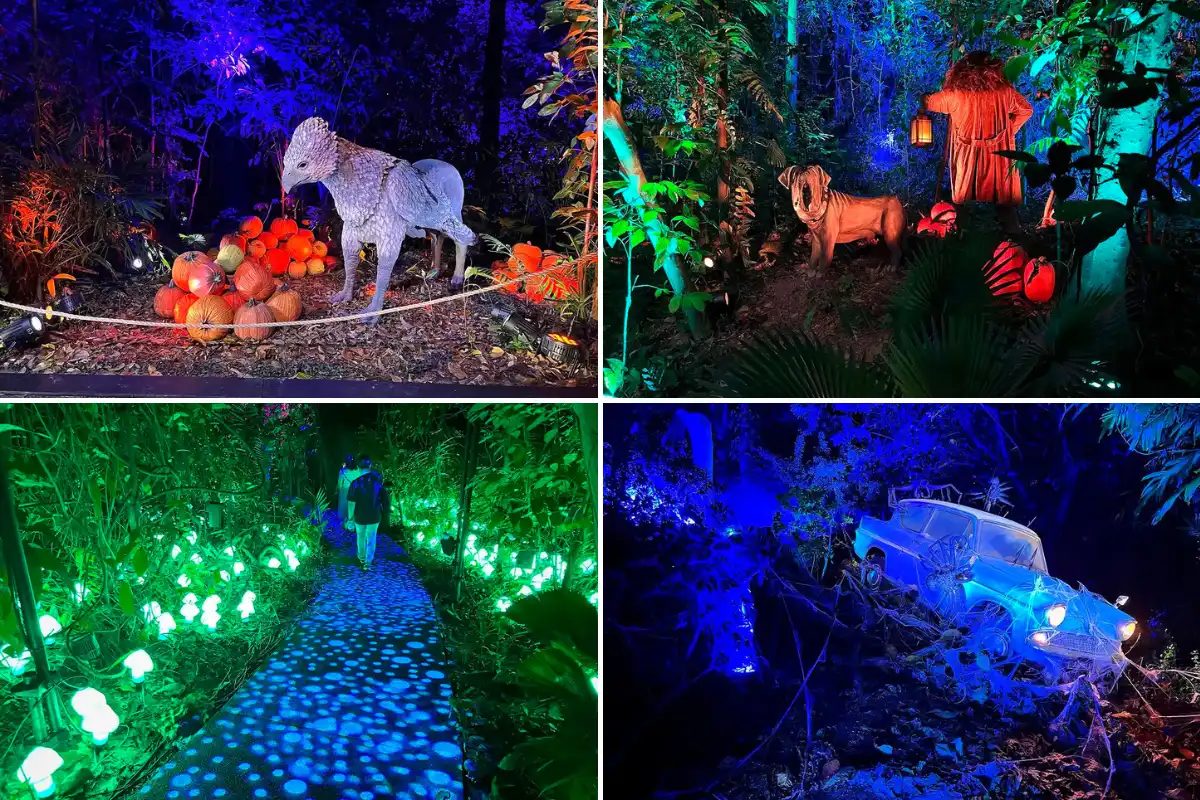 Harry Potter: A Forbidden Forest Experience - What you can expect at ...