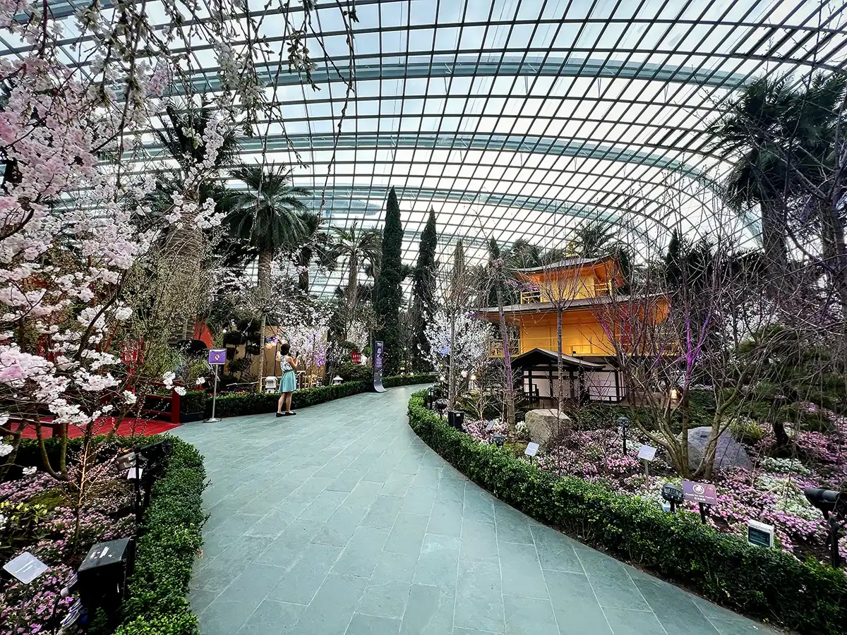 Sakura - Blossom into the Night at Gardens by the Bay