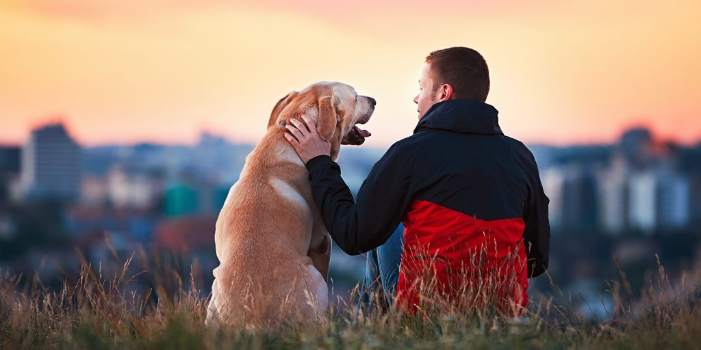 Male pet owner petting golden smooth coat dog and showing affection