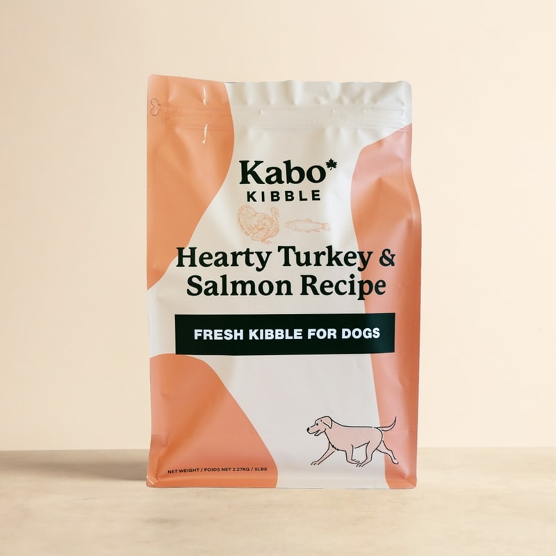 Turkey & Salmon Kibble Dog Food I Kabo I Kabo