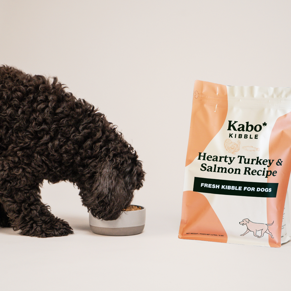 Turkey & Salmon Kibble Dog Food I Kabo I Kabo
