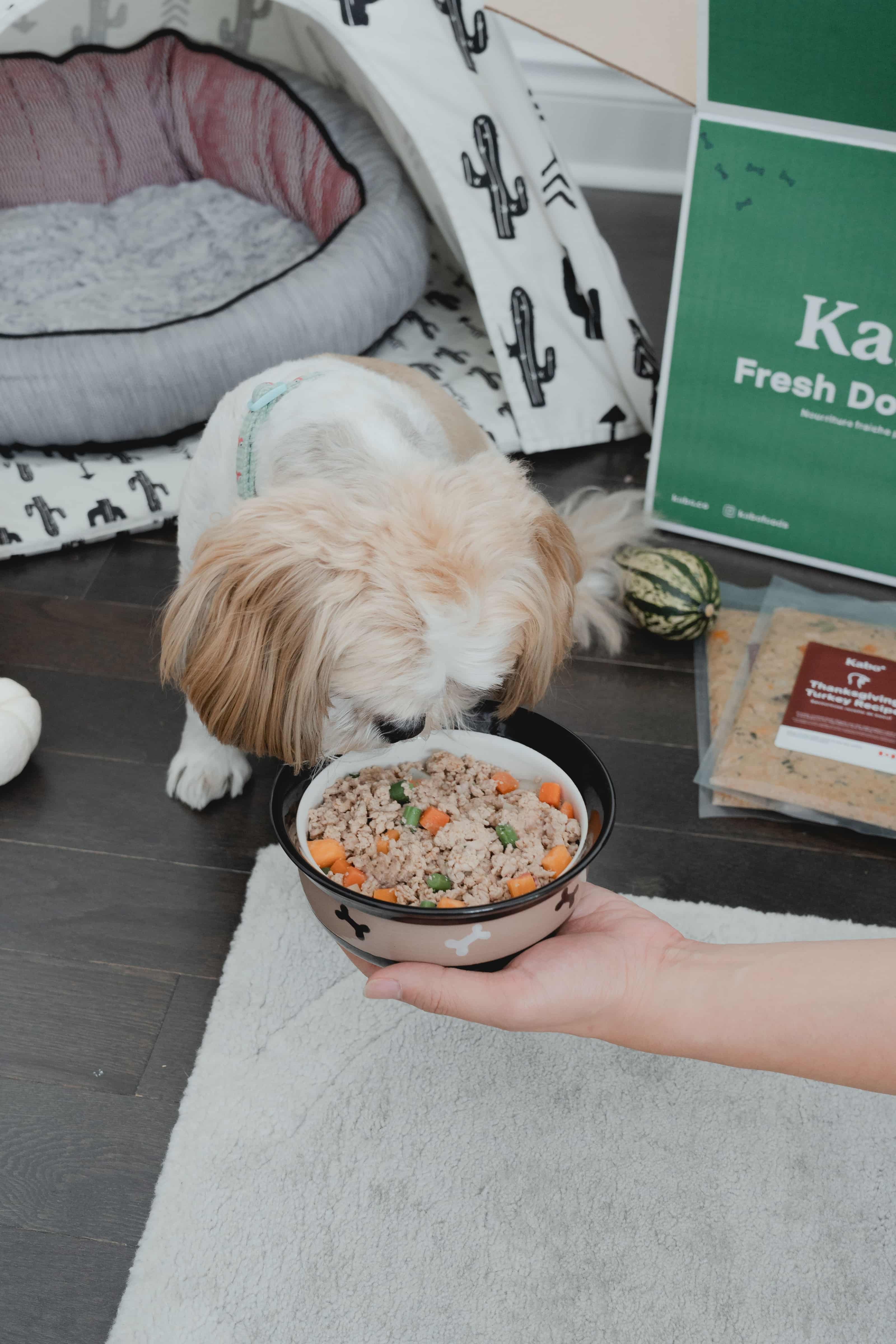 Dog Food Recipes I Kabo