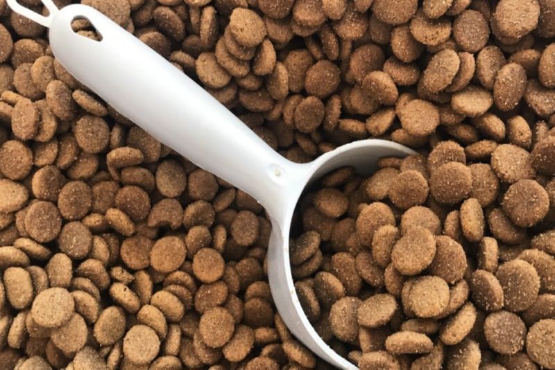 What does "Raw Coated" dog food mean? 🍖 Kabo